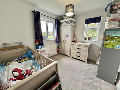 Picture 14
